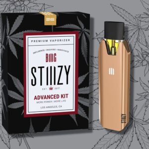 STIIIZY Starter Kit Pod – Premium Vape Pen Kit for Smooth, Portable Vaping